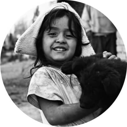 About GetMoreDonations